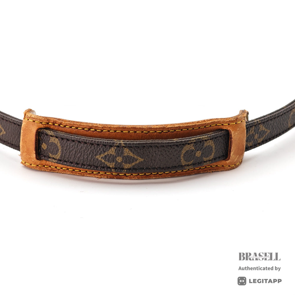 LOUIS VUITTON Amazon Monogram Canvas Brown Shoulder Bag M45236 【ImportFeeFREE】