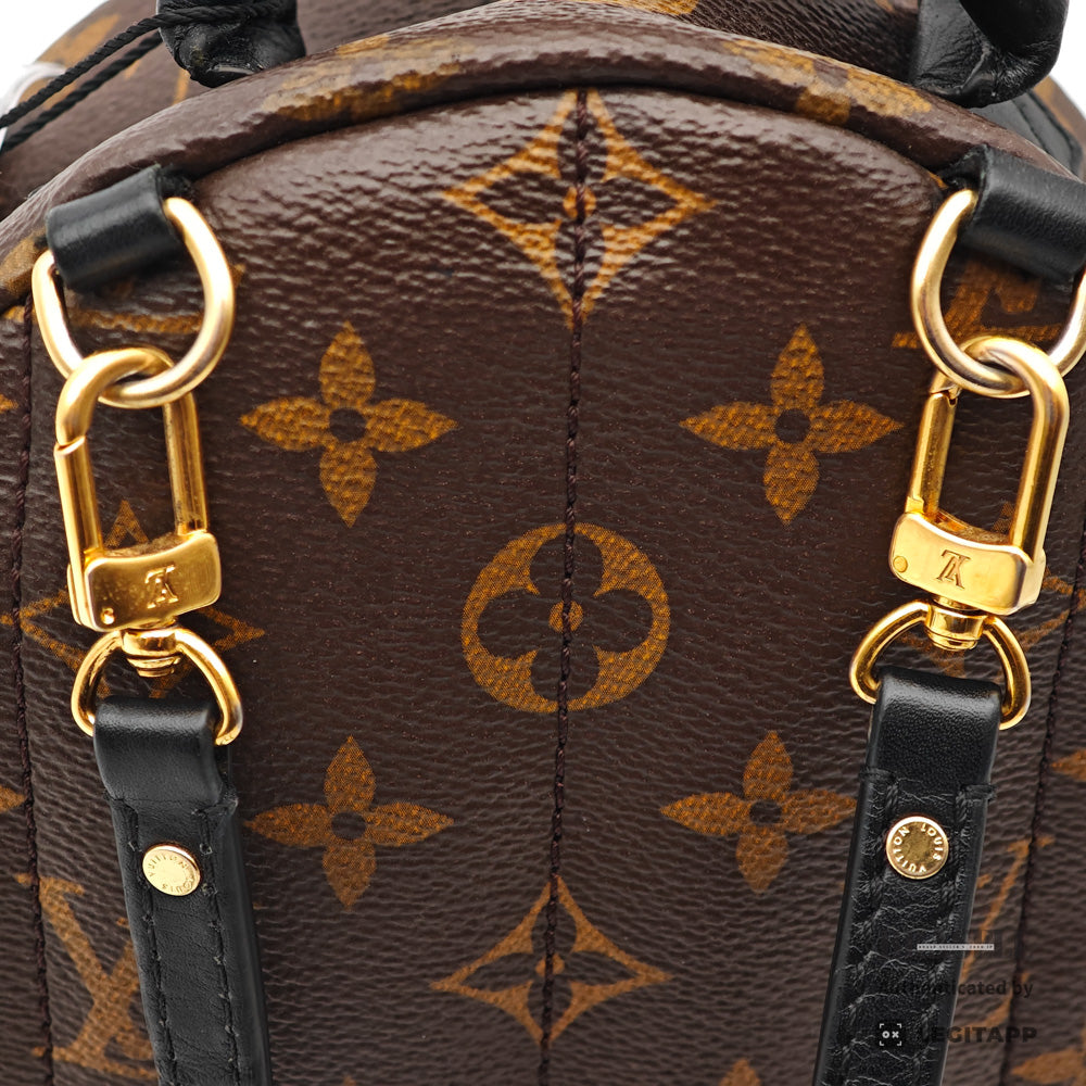 LOUIS VUITTON Palm Springs Mini Monogram Canvas Brown Backpack 【ImportFeeFREE】