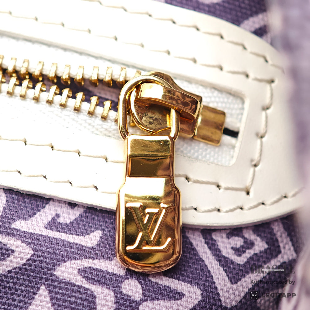 Louis Vuitton Cruise Line Taisienne PM Tote Bag【ImportFREE】