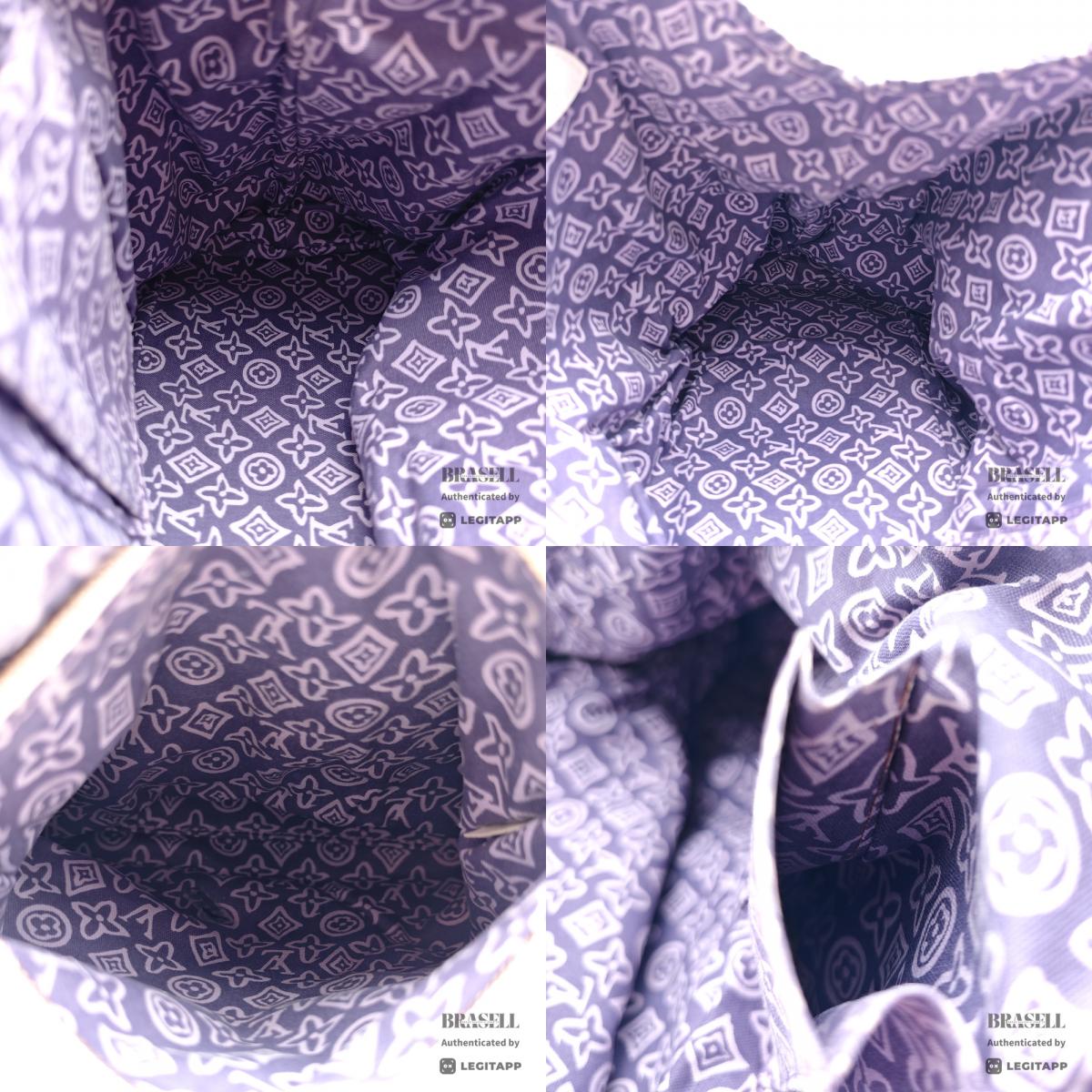 Louis Vuitton Cruise Line Taisienne PM Tote Bag【ImportFREE】