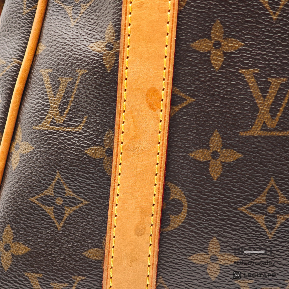 LOUIS VUITTON Stresa PM Monogram Canvas Brown Tote Bag M51186 【ImportFeeFREE】