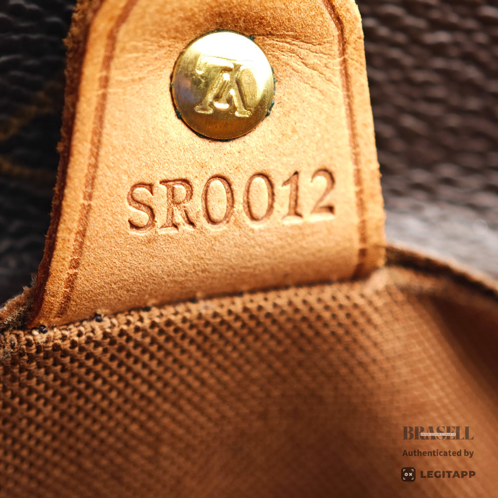 LOUIS VUITTON Vavin GM Monogram Canvas Shoulder Bag M51170 【ImportFeeFREE】