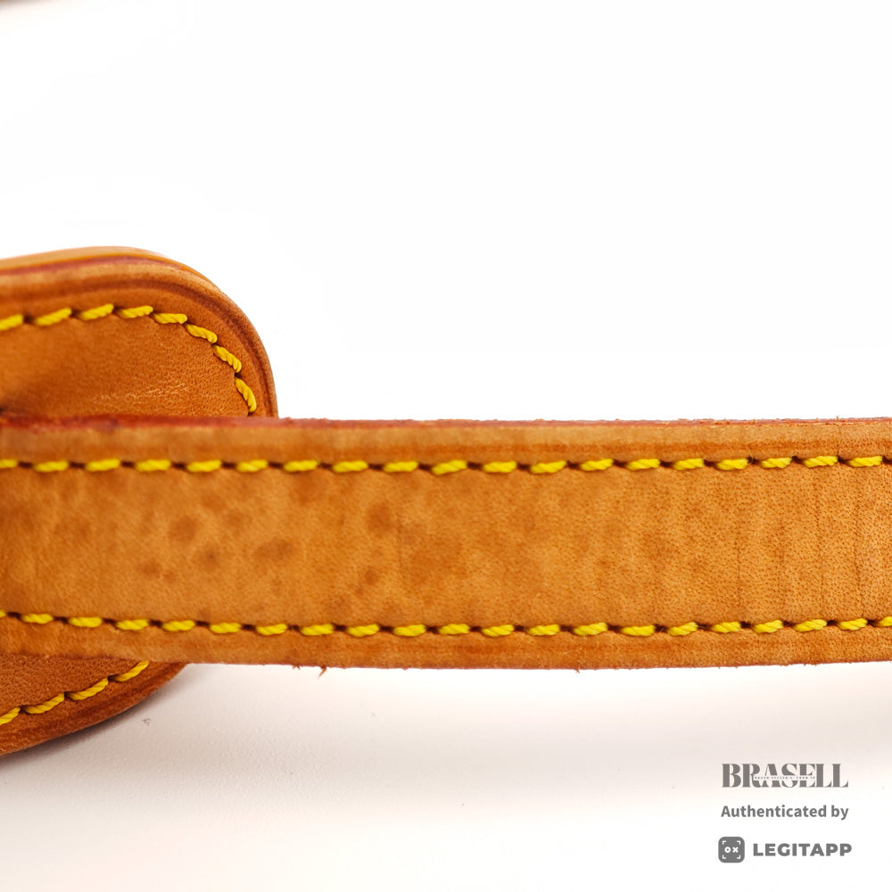 LOUIS VUITTON Solongne Monogram Canvas Brown Shoulder Bag 【ImportFeeFREE】