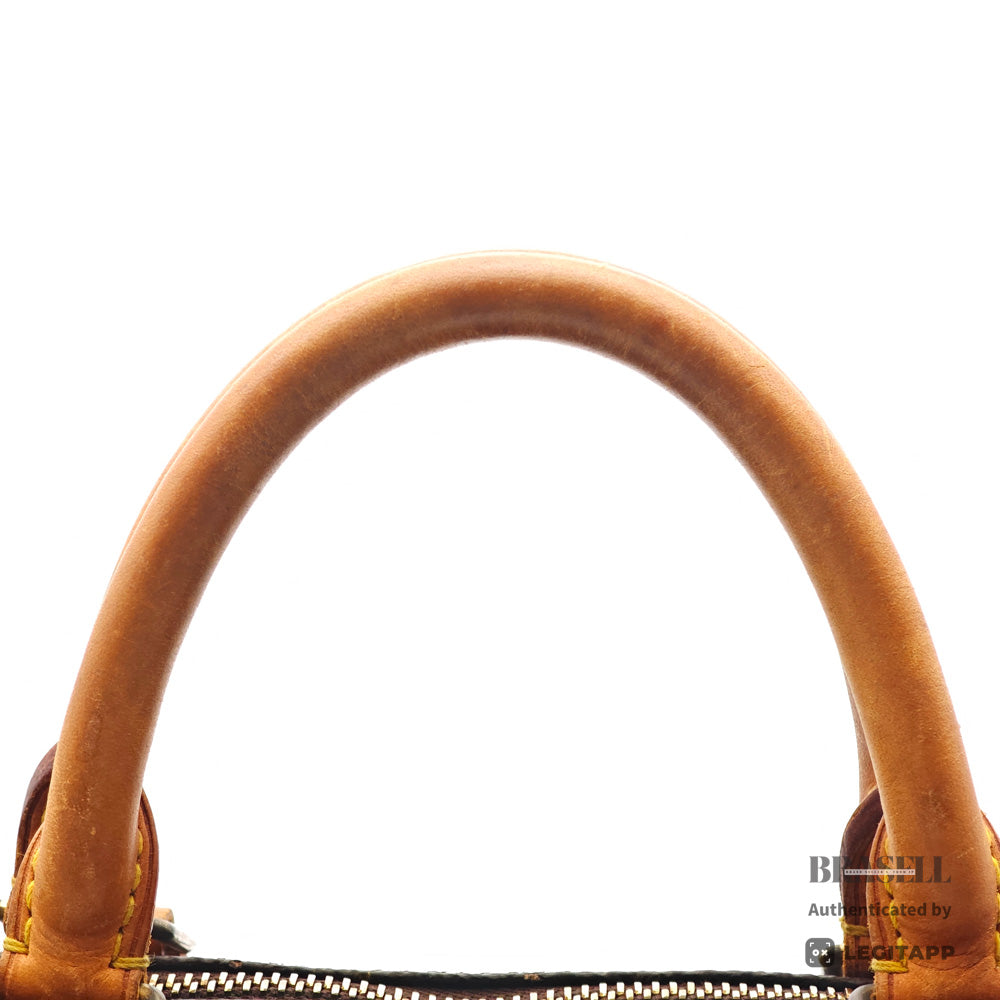 LOUIS VUITTON Speedy 30 Monogram Canvas Brown Hand Bag M41526 【ImportFeeFREE】