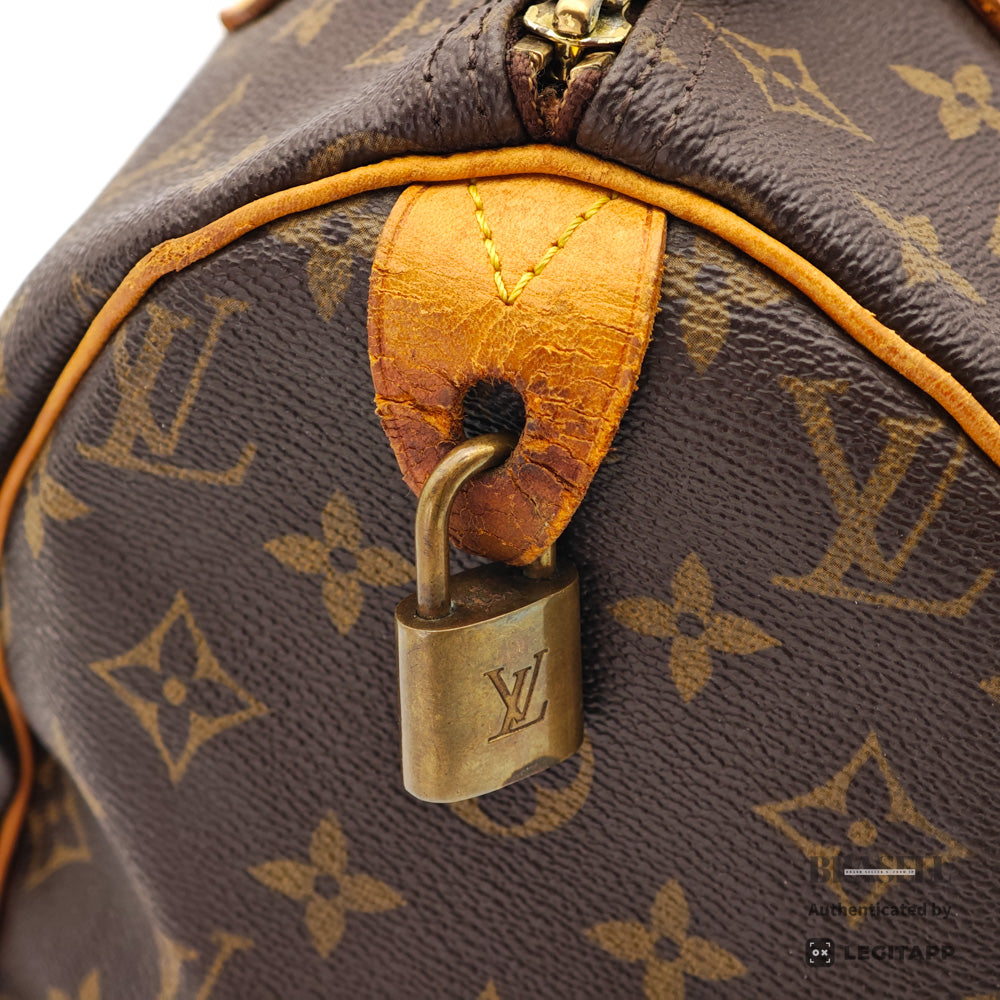 LOUIS VUITTON Speedy 30 Monogram Canvas Brown Hand Bag 【ImportFeeFREE】