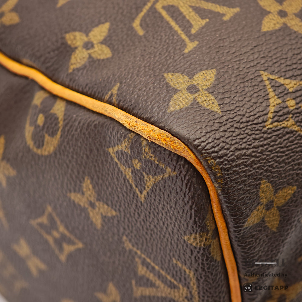 LOUIS VUITTON Speedy 30 Monogram Canvas Brown Hand Bag 【ImportFeeFREE】