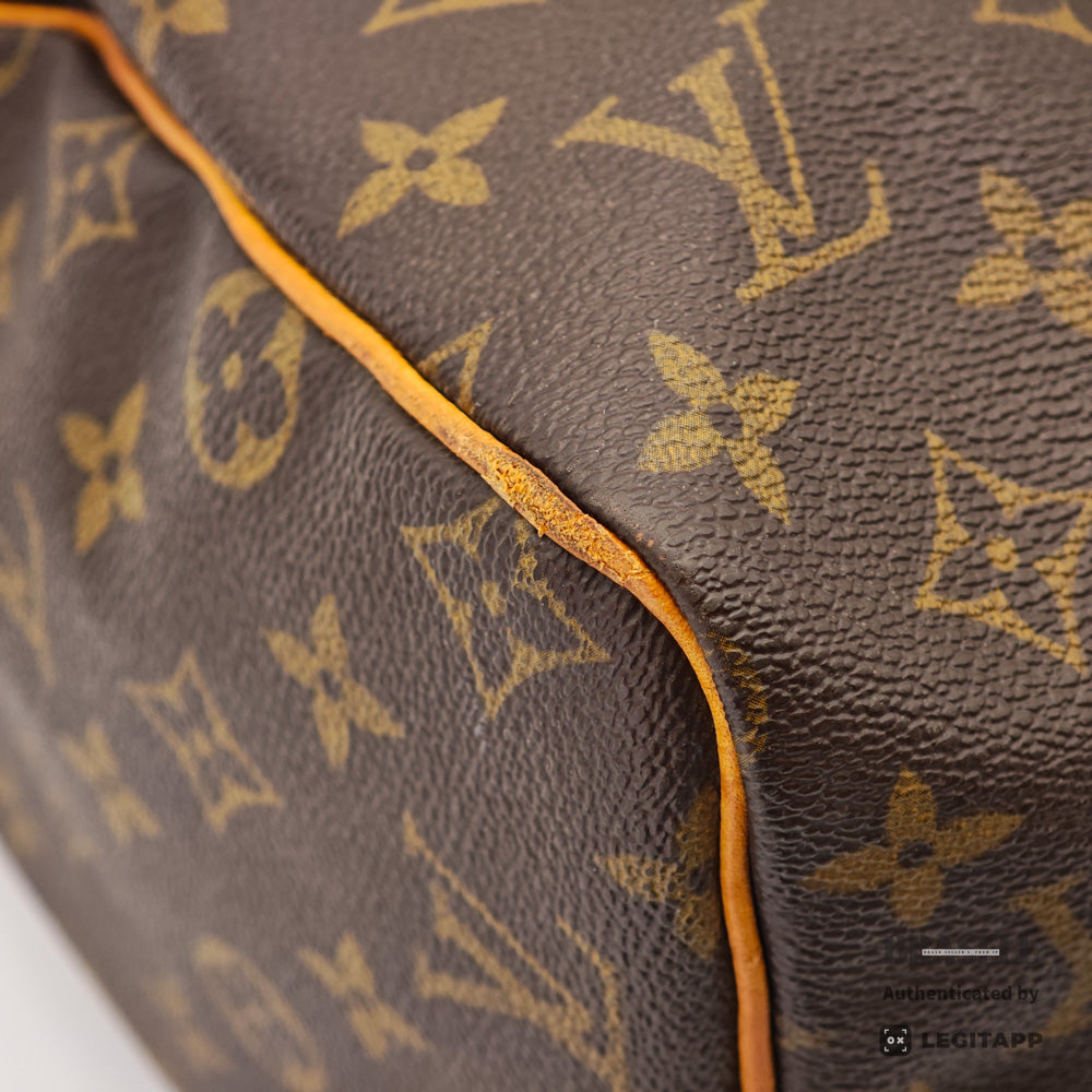 LOUIS VUITTON Speedy 30 Monogram Canvas Brown Hand Bag 【ImportFeeFREE】