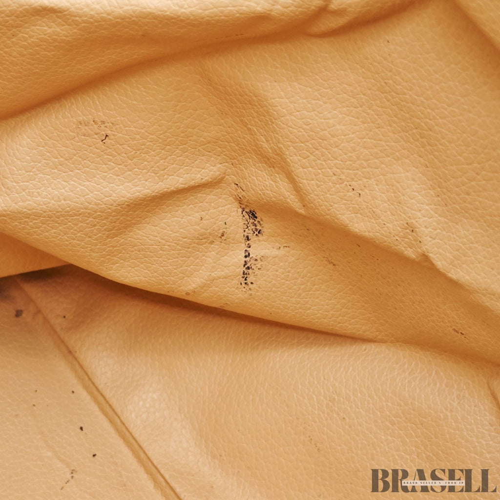 LOUIS VUITTON Cruiser Bag 45 M41138　Monogram Canvas 【ImportFREE】