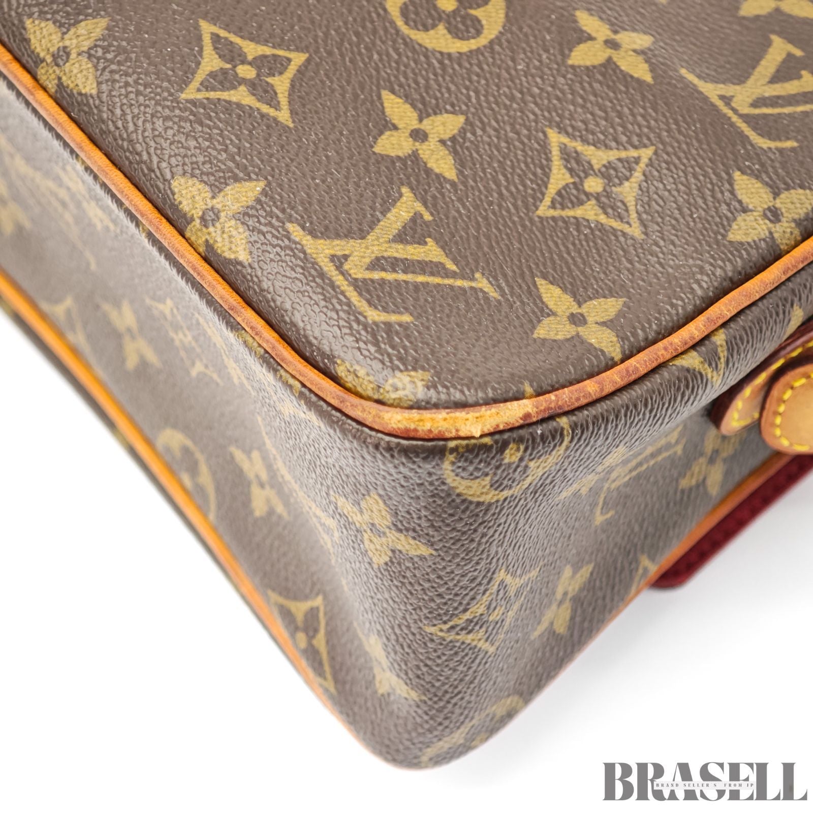 Louis Vuitton Viva Cite MM M51164 Brown Monogram Handbag【ImportFeeFREE】