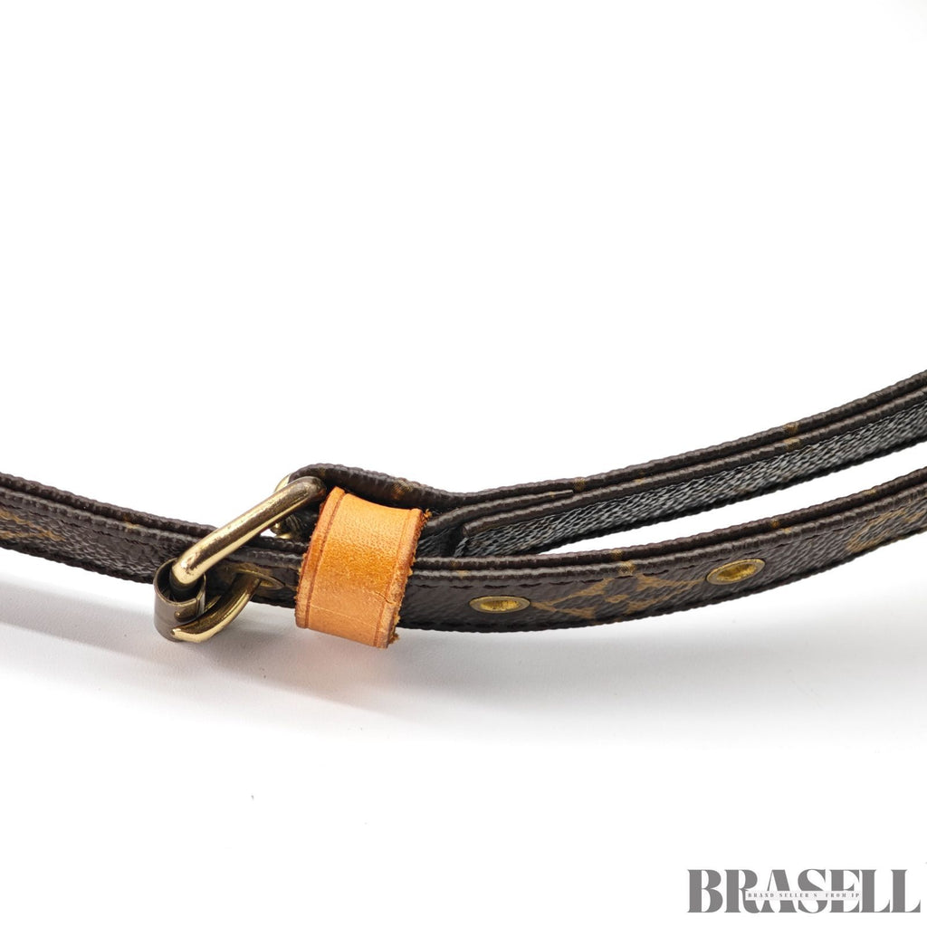 LOUIS VUITTON Monogram Nile M45244 Shoulder Bag 【ImportFeeFREE】