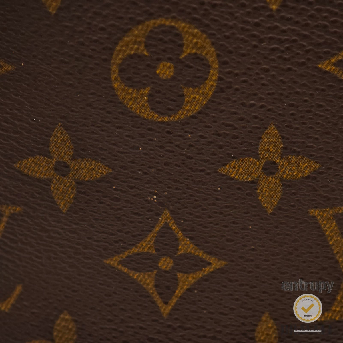LOUIS VUITTON Druot M51290 Monogram Canvas Shoulder Bag Brown 【ImportFeeFREE】