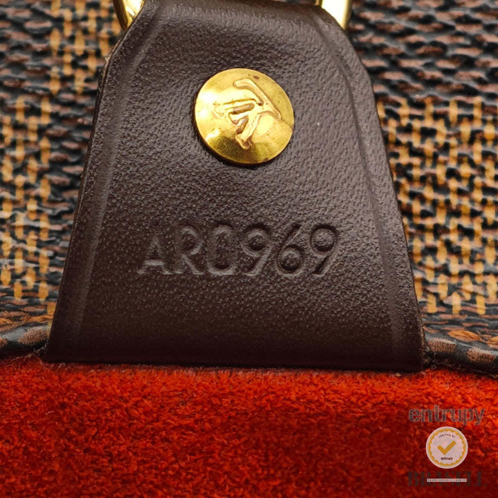 LOUIS VUITTON Parioli PM N51123 Tote Bag Damier Ebene Brown 【ImportFeeFREE】