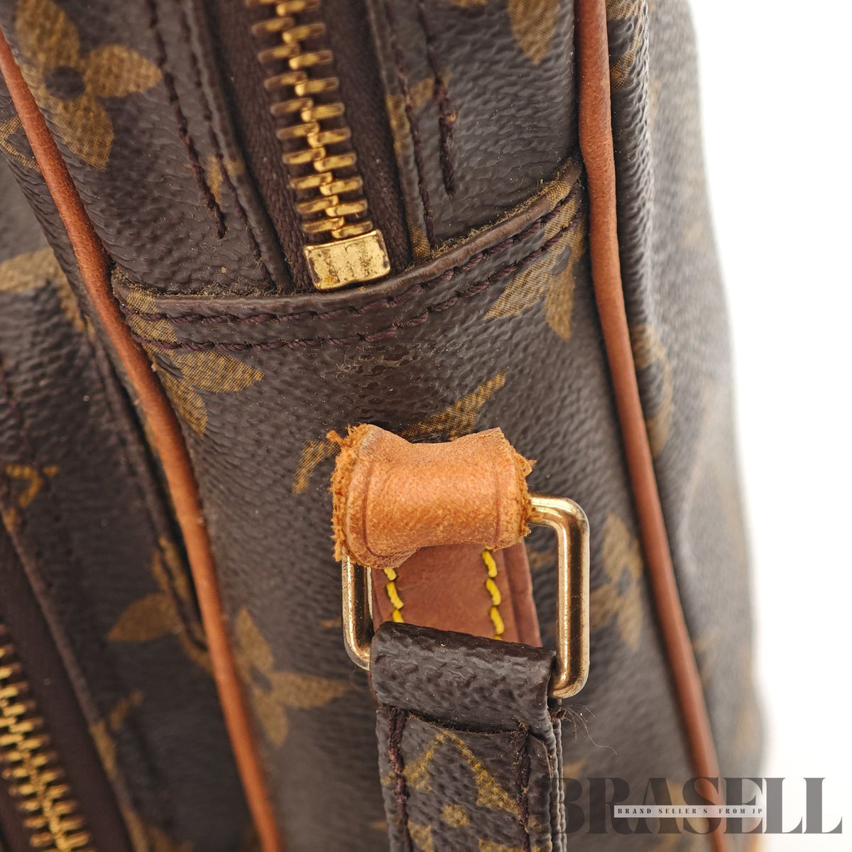 LOUIS VUITTON Monogram Amazon M45236 Shoulder Bag Brown 【ImportFeeFREE】