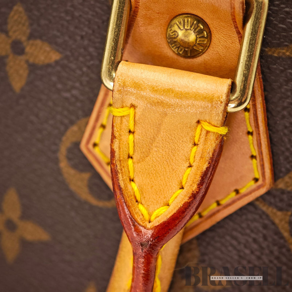 LOUIS VUITTON Monogram Alma PM M53151 Hand Bag Brown Vintage 【ImportFeeFREE】