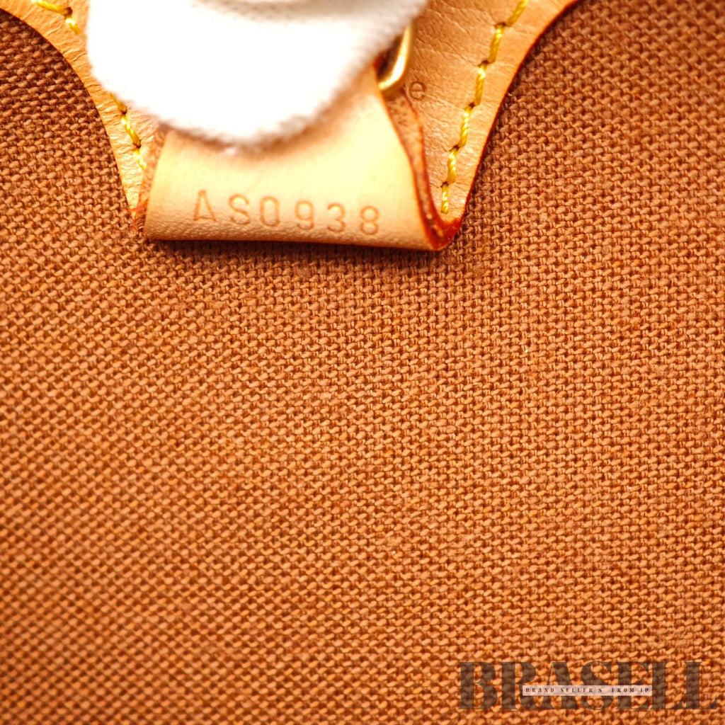 LOUIS VUITTON Monogram Ellipse MM M51126 Handbag Brown 【ImportFeeFREE】