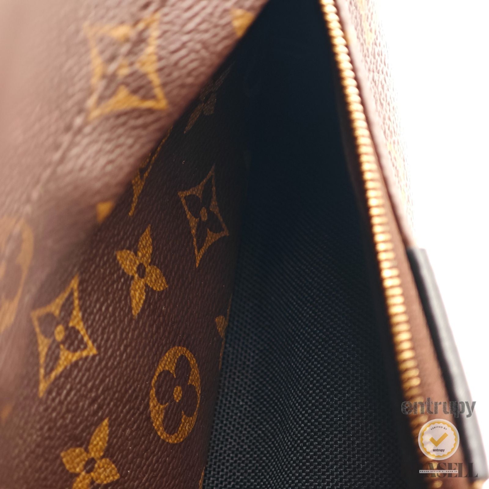 LOUIS VUITTON Palm Springs Backpack MM M41561 Monogram Brown 【ImportFeeFREE】