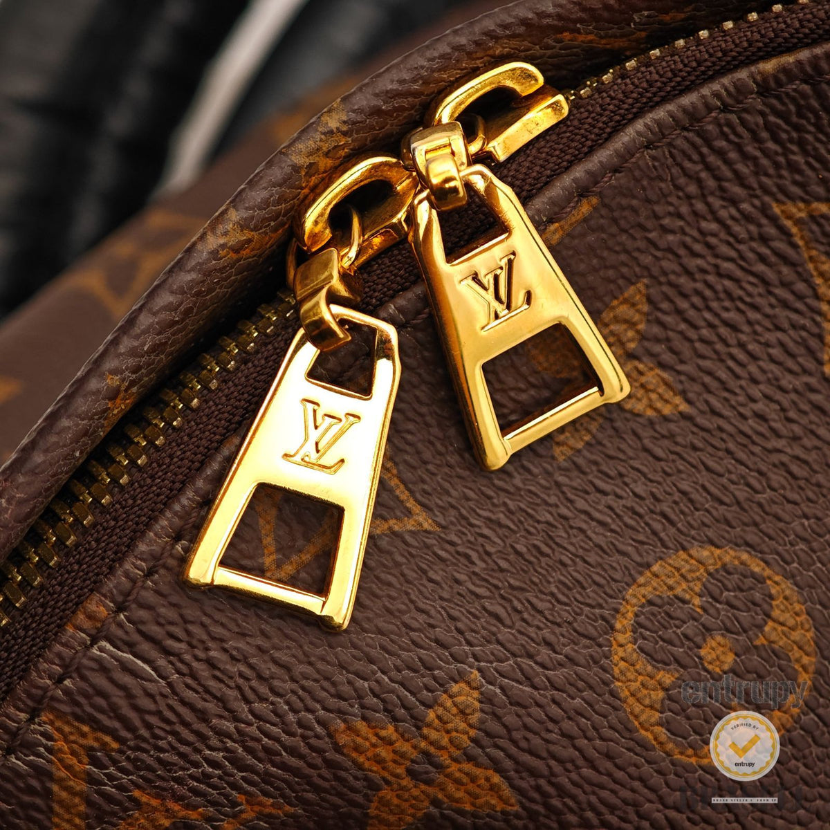 LOUIS VUITTON Palm Springs Backpack MM M41561 Monogram Brown 【ImportFeeFREE】