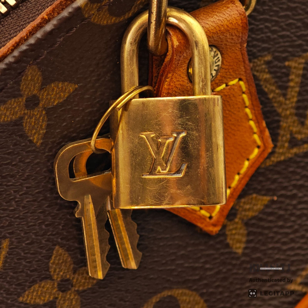 LOUIS VUITTON Ellipse MM M51126 Hand Bag Monogram Canvas MI0918【ImportFeeFREE】