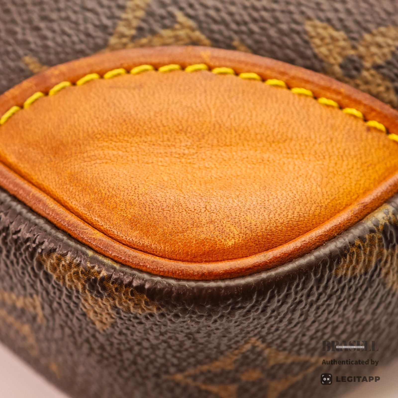 LOUIS VUITTON Danube M45266 Shoulder Bag Monogram Canvas Brown 【ImportFeeFREE】