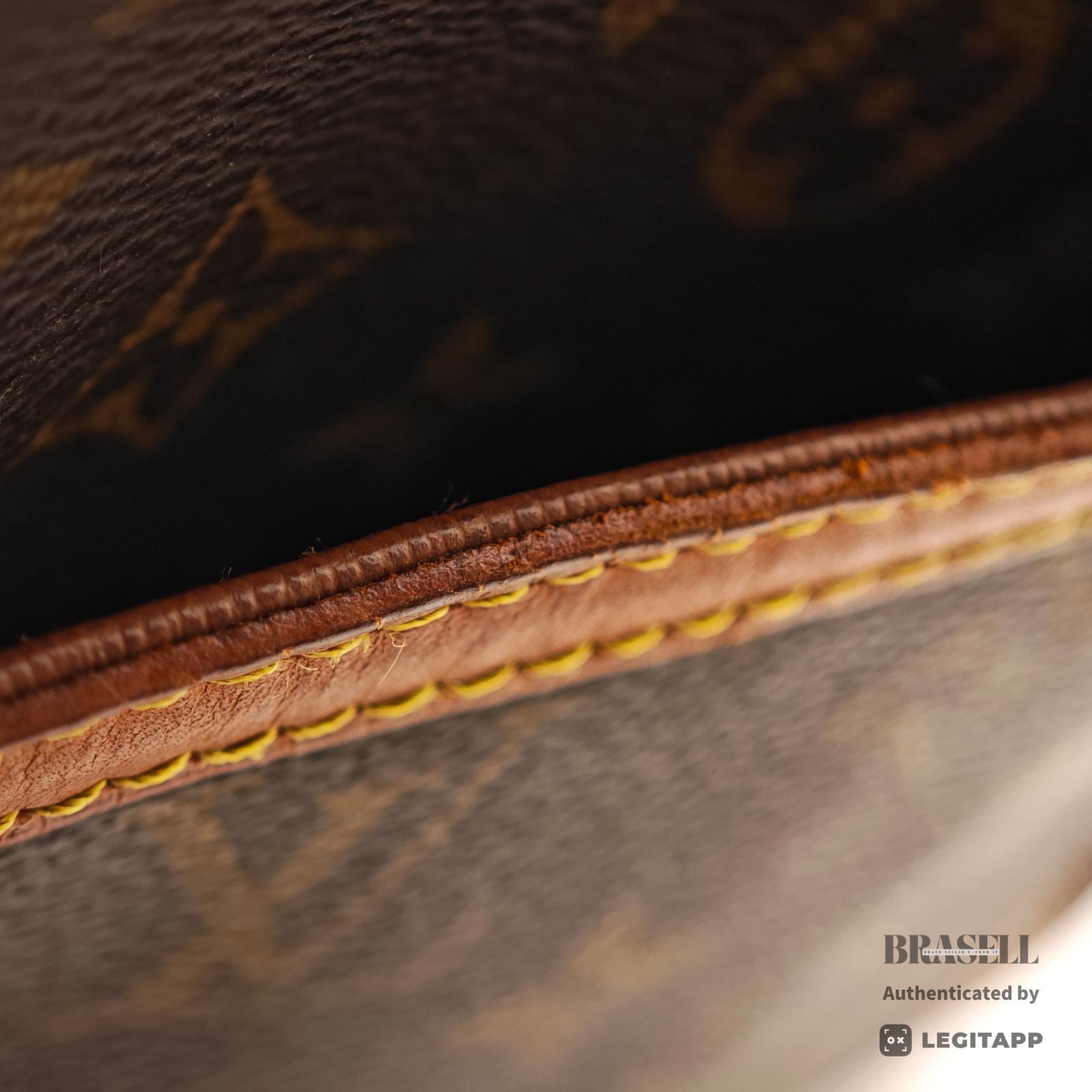 LOUIS VUITTON Danube M45266 Shoulder Bag Monogram Canvas Brown 【ImportFeeFREE】