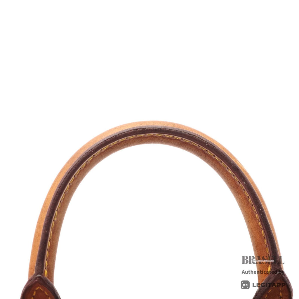 LOUIS VUITTON Mini Speedy Hand Bag Monogram Canvas Brown M41534【ImportFeeFREE】