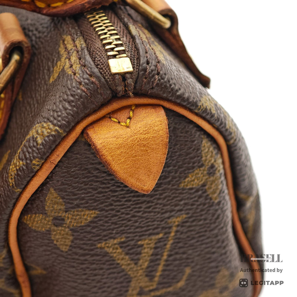 LOUIS VUITTON Mini Speedy Hand Bag Monogram Canvas Brown M41534【ImportFeeFREE】