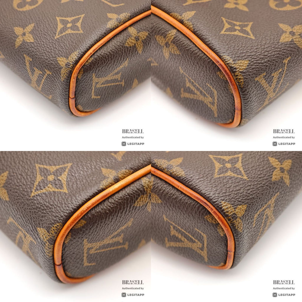 LOUIS VUITTON Monogram Sonatine M51902 Handbag Brown【ImportFeeFREE】