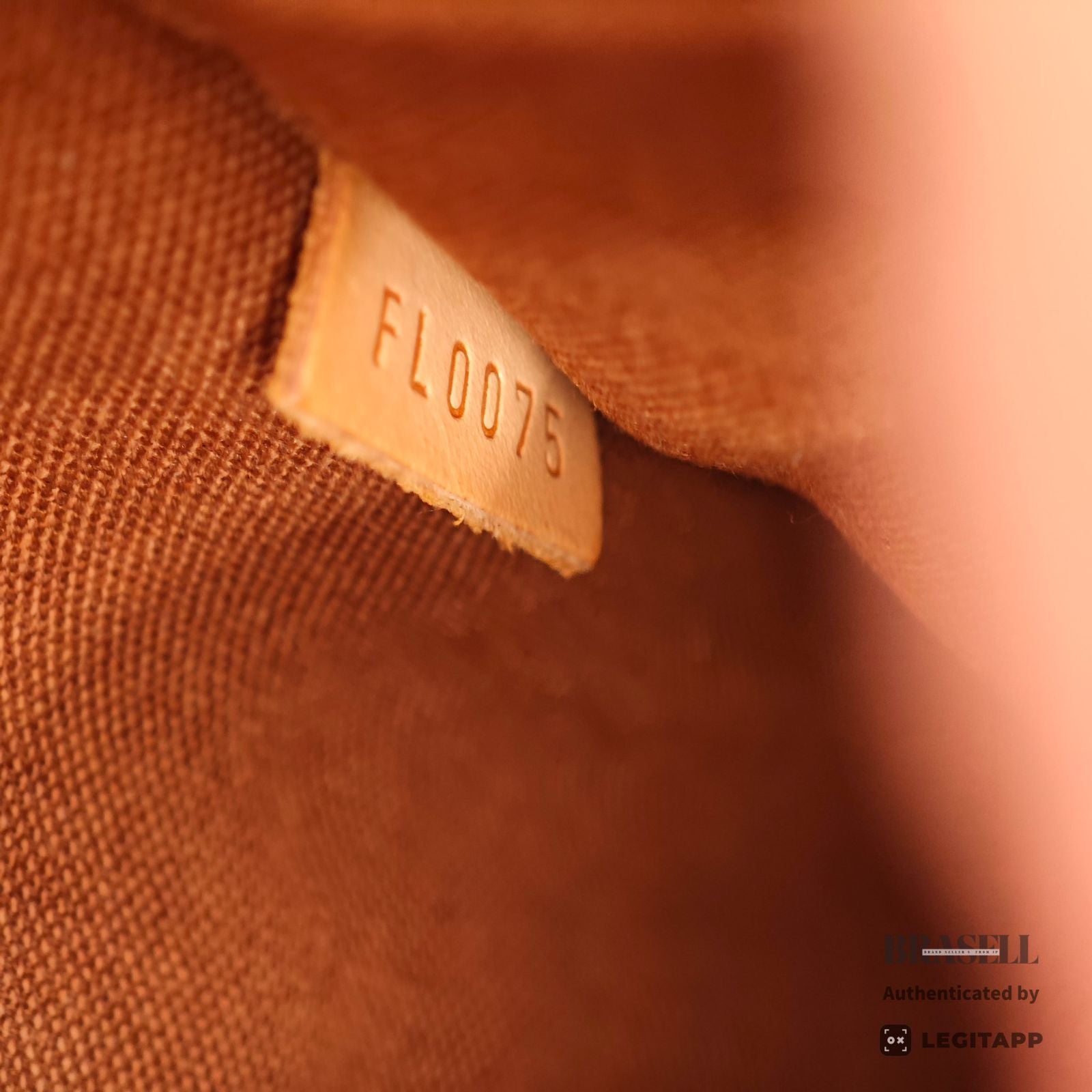 LOUIS VUITTON Monogram Popincourt O M40007 Shoulder Bag Brown【ImportFeeFREE】