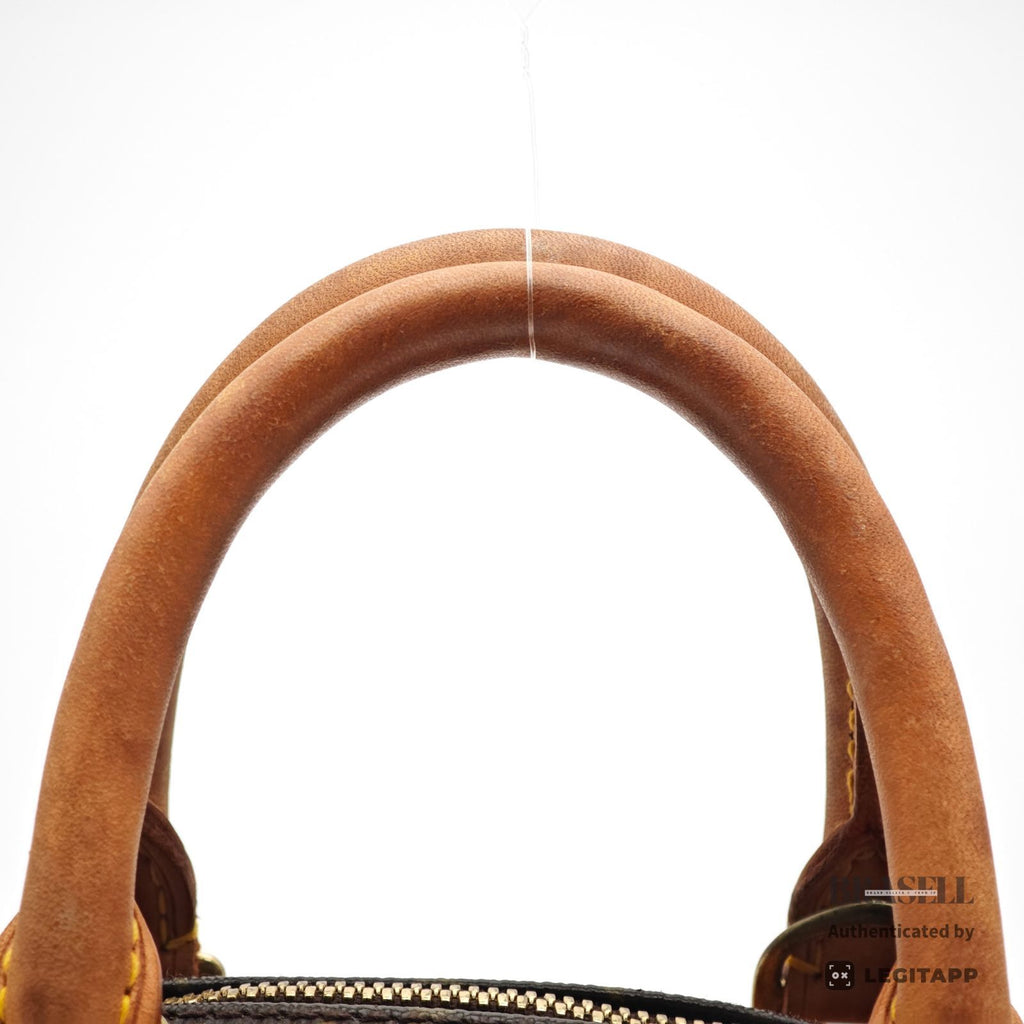 LOUIS VUITTON Monogram Trouville M42228 Handbag Brown【ImportFeeFREE】