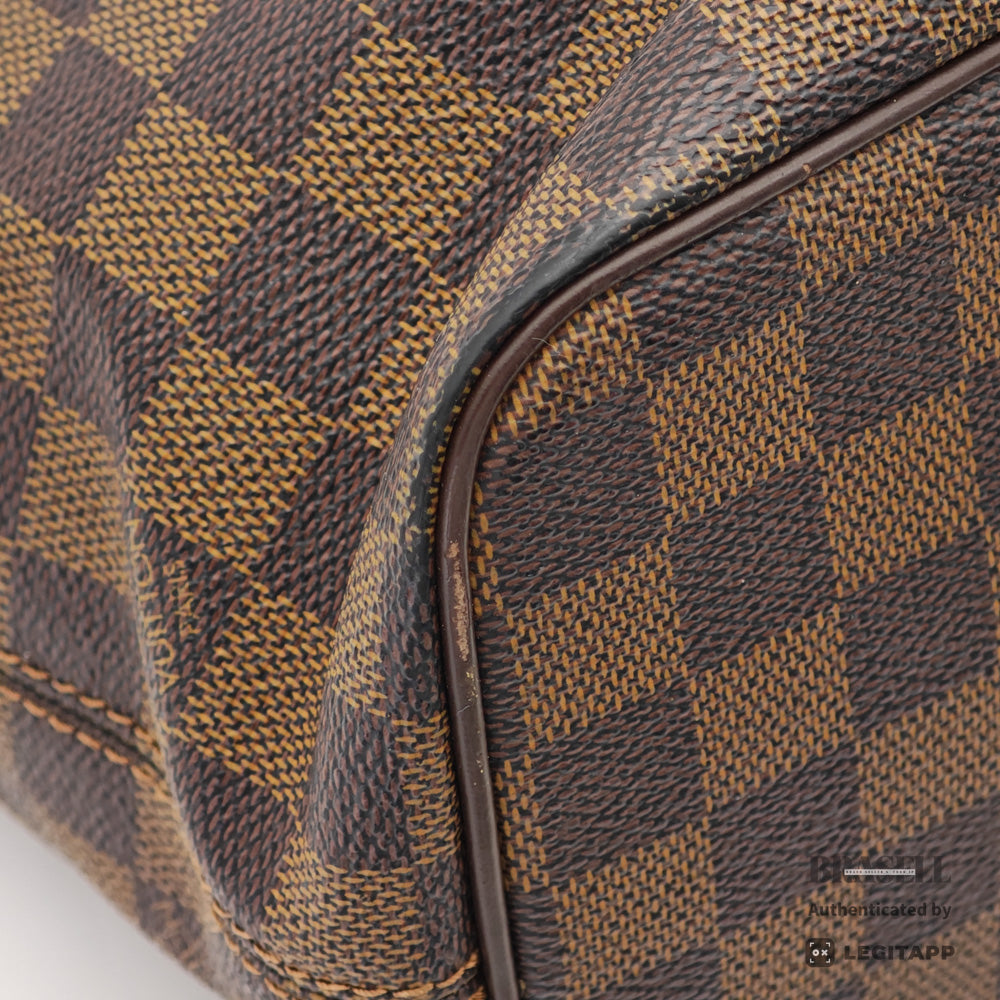 LOUIS VUITTON Saleya PM Damier Canvas Tote Bag N51183 【ImportFeeFREE】
