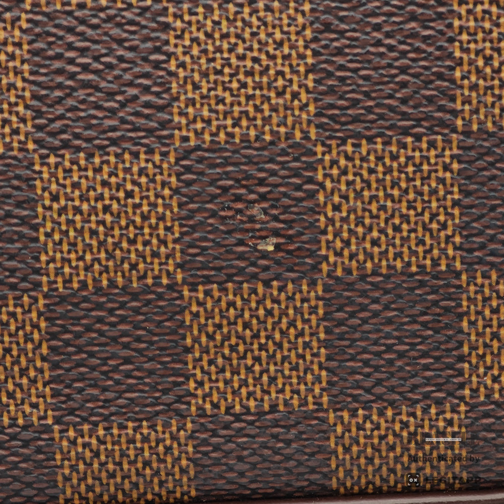 LOUIS VUITTON Saleya PM Damier Canvas Tote Bag N51183 【ImportFeeFREE】