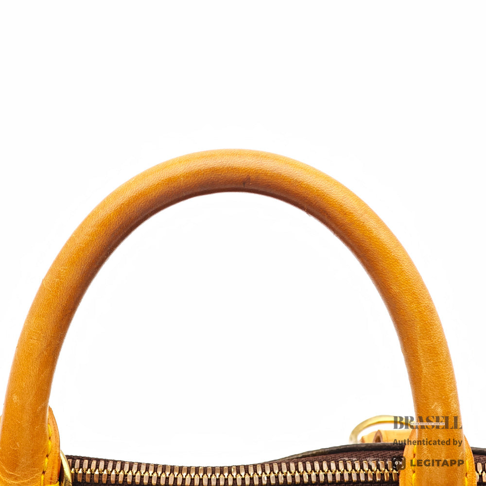 LOUIS VUITTON Alma PM Monogram Canvas Brown Hand Bag 【ImportFeeFREE】