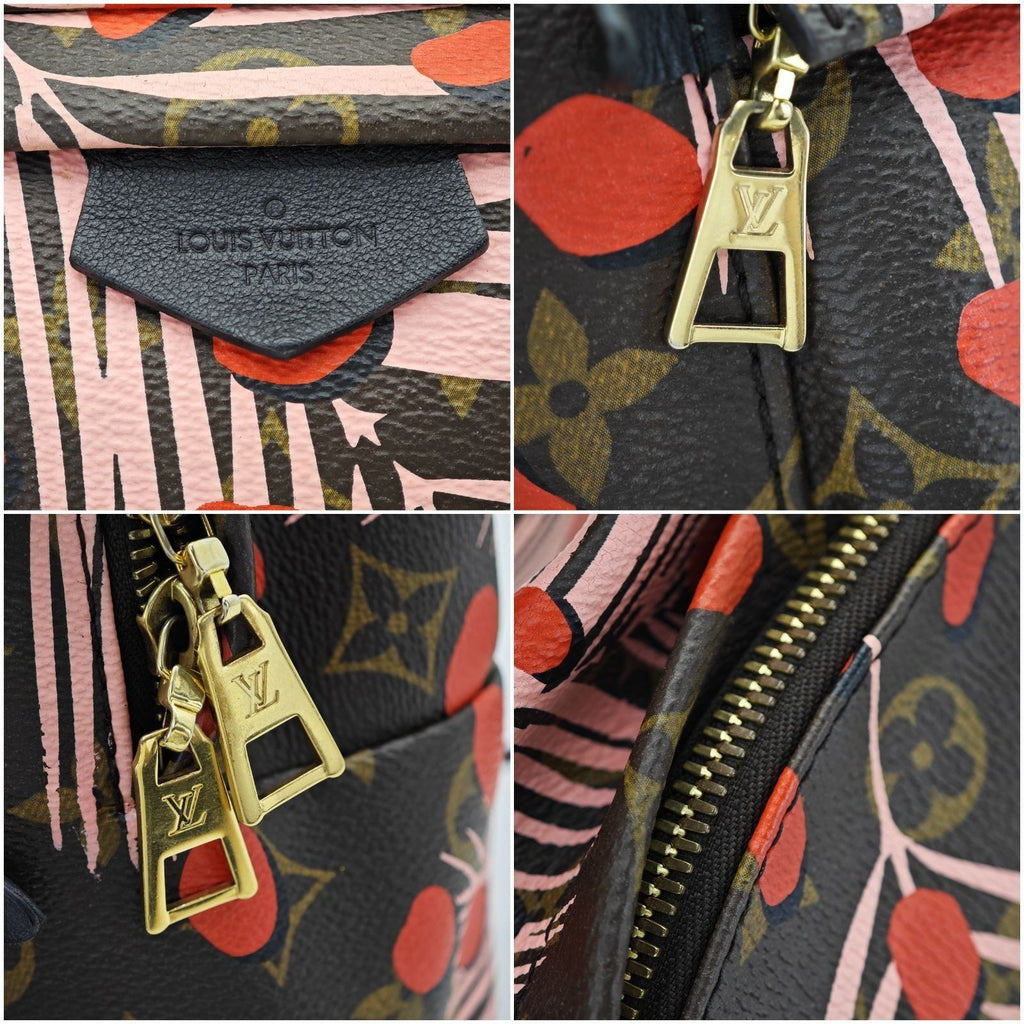 LOUIS VUITTON Palm Springs Backpack M41981 Brown Women's Bag