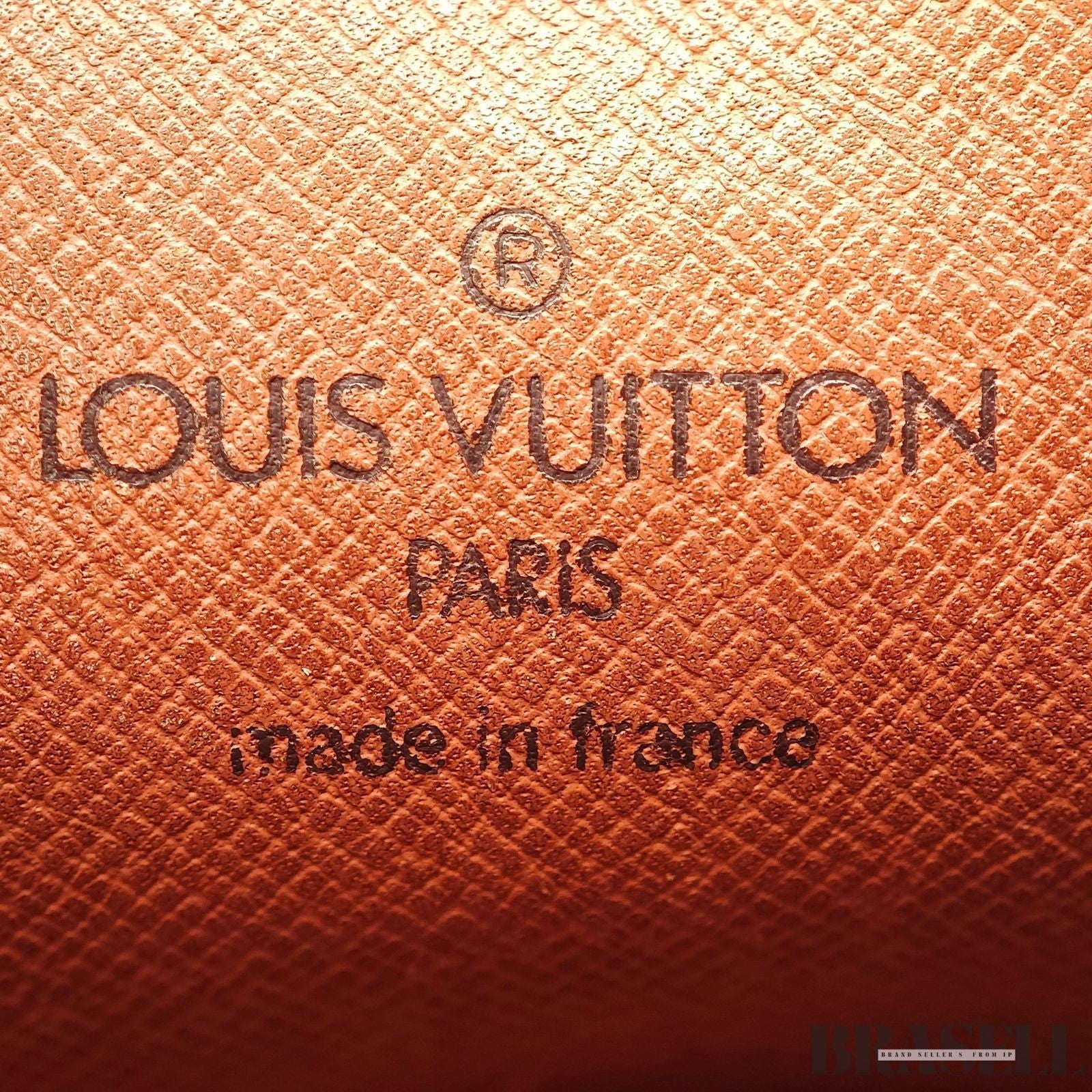 Louis Vuitton Monogram Danube M45266 SL8909 Shoulder Bag Small Vertical Brown