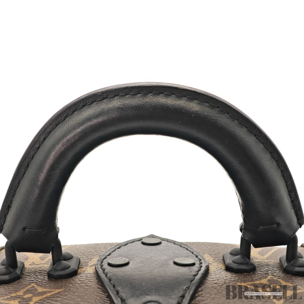 Louis Vuitton Monogram Reverse Leopard M43001 2Way Handbag Brown Black Canvas