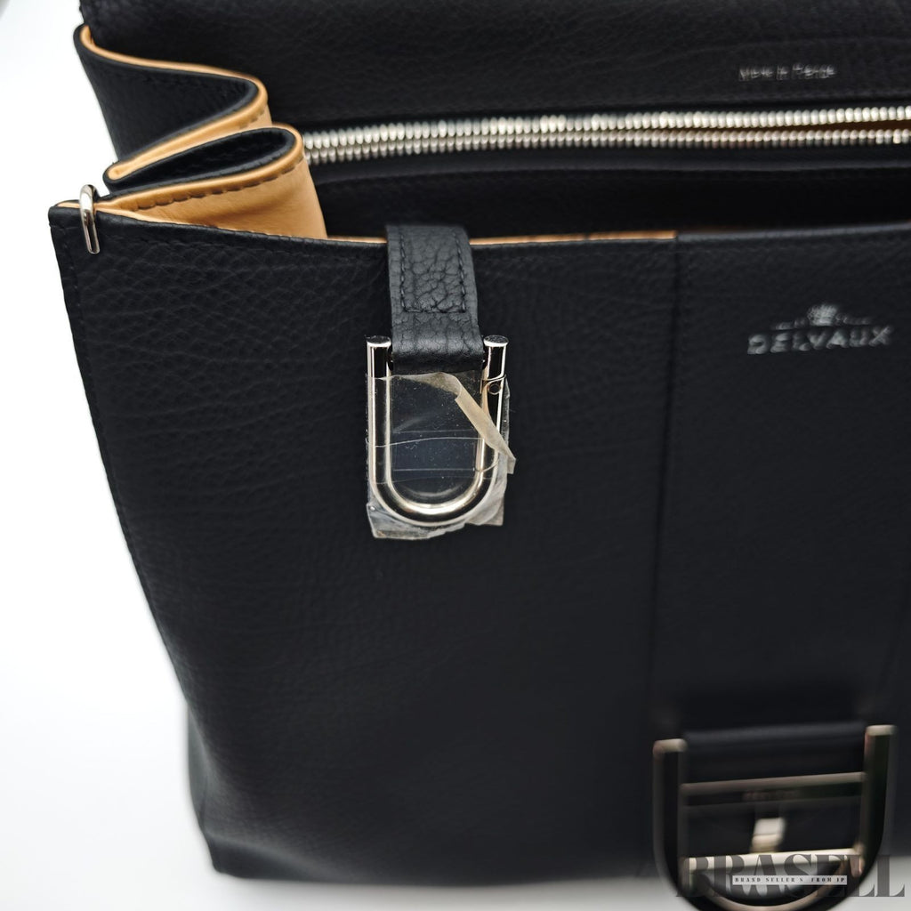 Delvaux Brillant MM Handbag Shoulder Bag 2-Way Black Women’s With Dust Bag