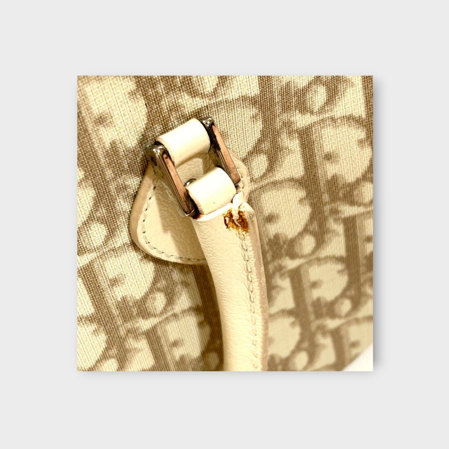 Dior Trotter PVC Leather Floral Handbag Tote Bag Beige Silver Hardware 【B】