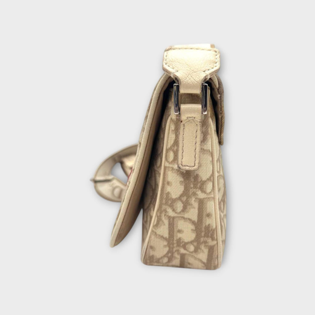 Dior Trotter Flower Embroidery Shoulder Bag CD Hardware Canvas Leather Beige 【B】