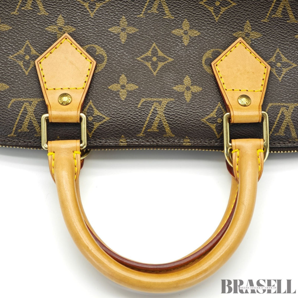 LOUIS VUITTON Monogram Alma PM M53151 Handbag Brown with Padlock