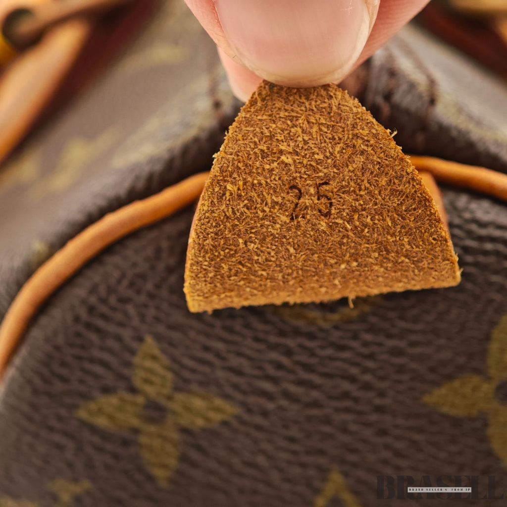 LOUIS VUITTON Speedy 25 M41528 Mini Boston Bag Brown Monogram Canvas Women's