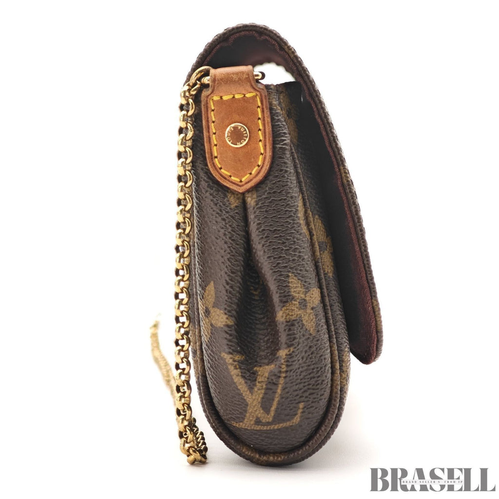 Louis Vuitton Favorite PM N41276 Handbag Mini Bag Brown With Dust Bag