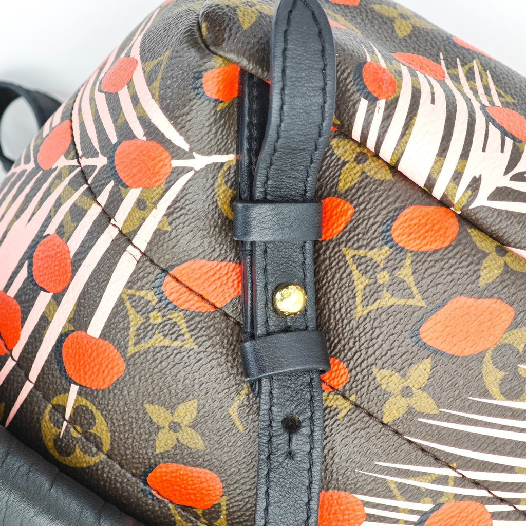 LOUIS VUITTON Palm Springs Backpack M41981 Brown Women's Bag