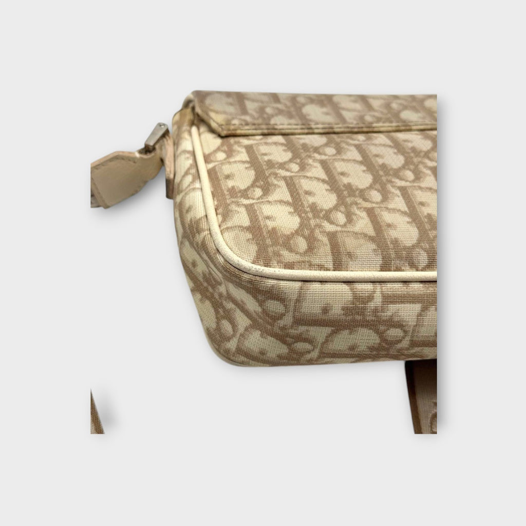 Dior Trotter Flower Embroidery Shoulder Bag CD Hardware Canvas Leather Beige 【B】