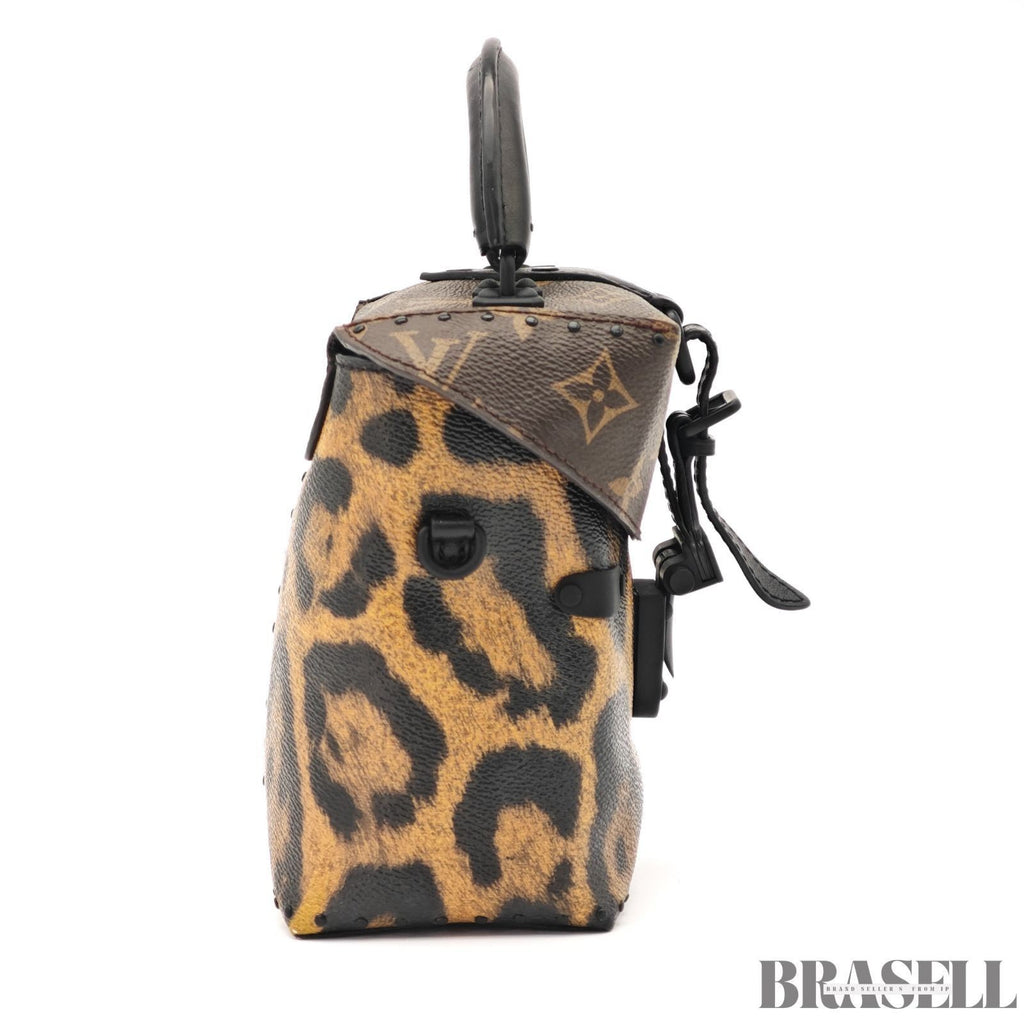 Louis Vuitton Monogram Reverse Leopard M43001 2Way Handbag Brown Black Canvas