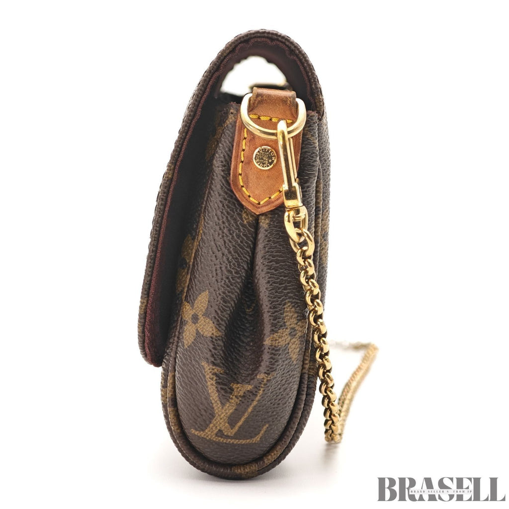 Louis Vuitton Favorite PM N41276 Handbag Mini Bag Brown With Dust Bag