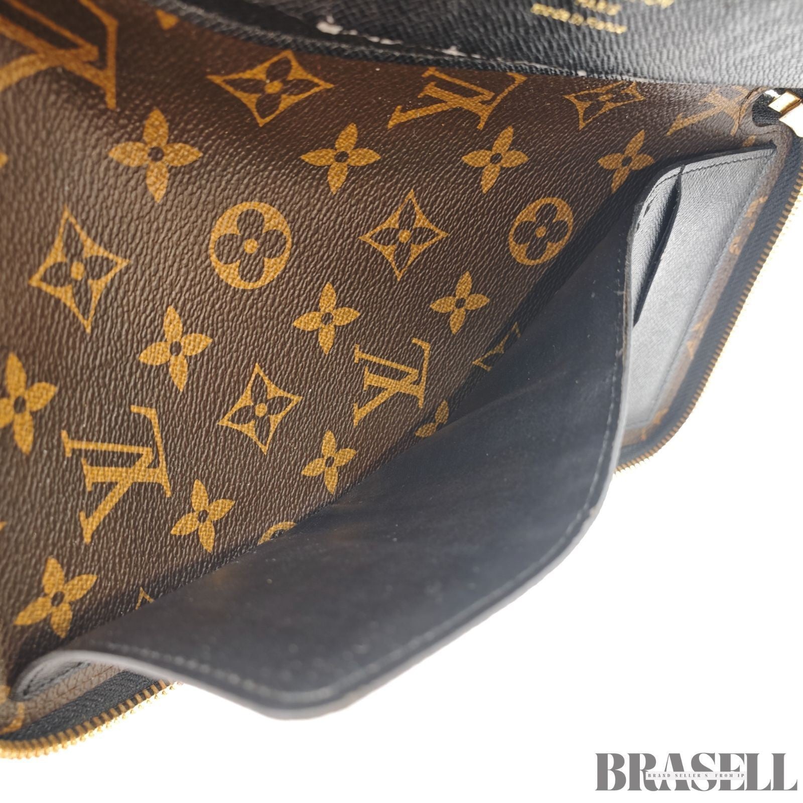 LOUIS VUITTON M60679 Monogram Daily Organizer Card Case Clutch Bag Wallet Brown