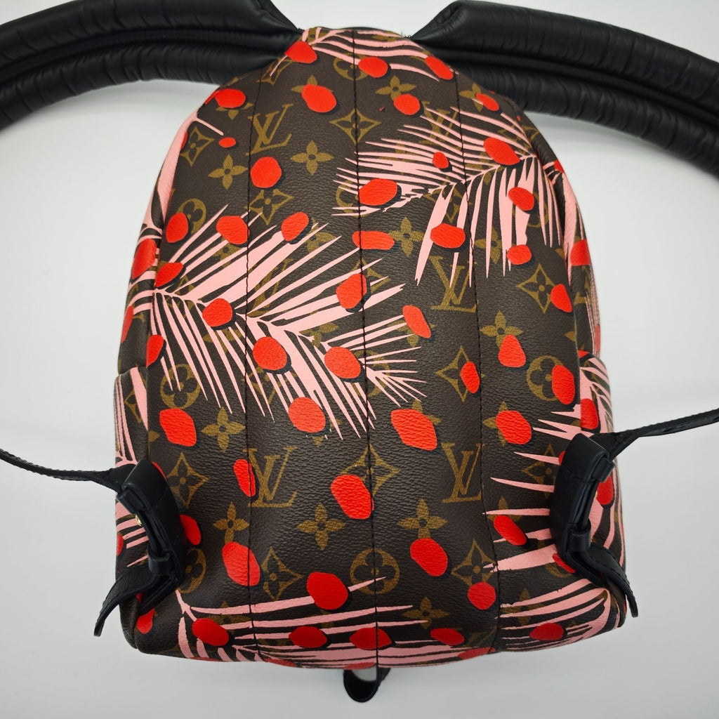 LOUIS VUITTON Palm Springs Backpack M41981 Brown Women's Bag