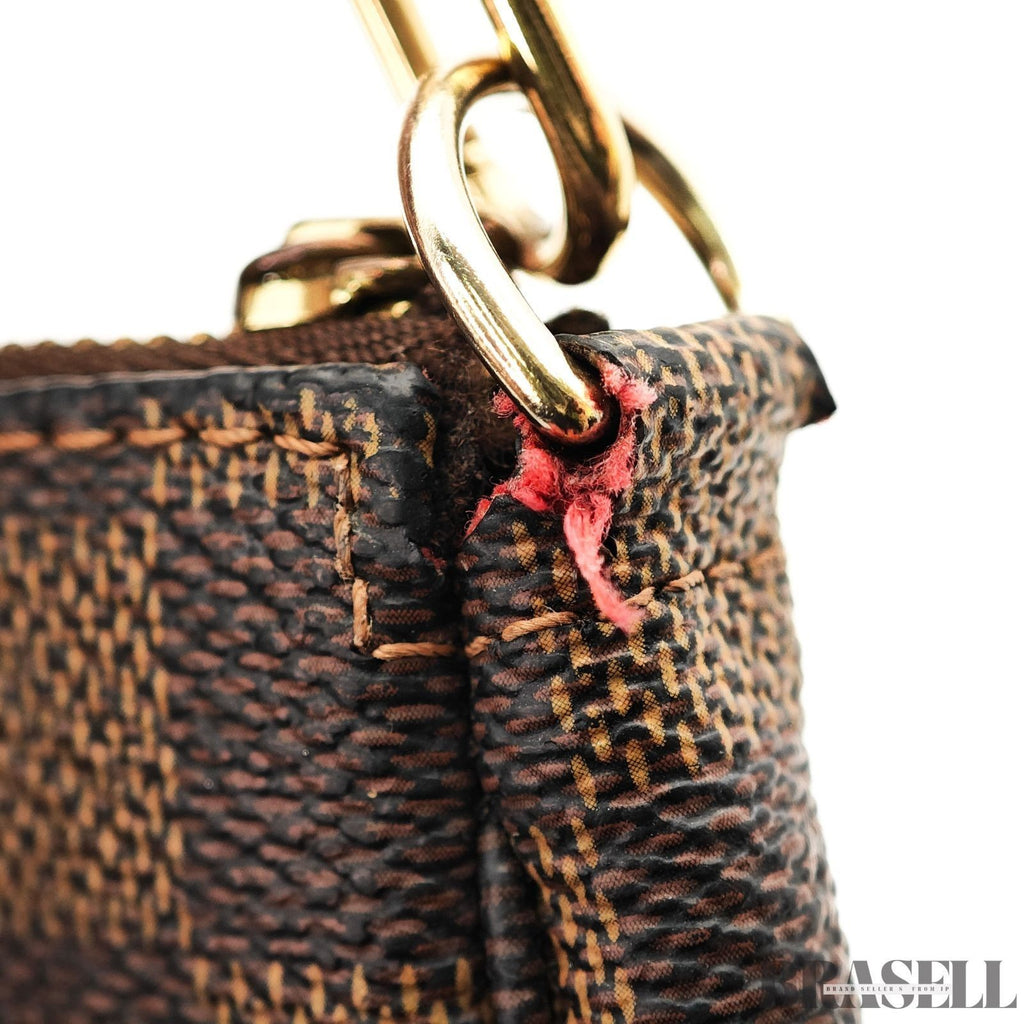 Louis Vuitton Damier Pochette Accessoires N51985 Handbag Monogram Canvas Brown