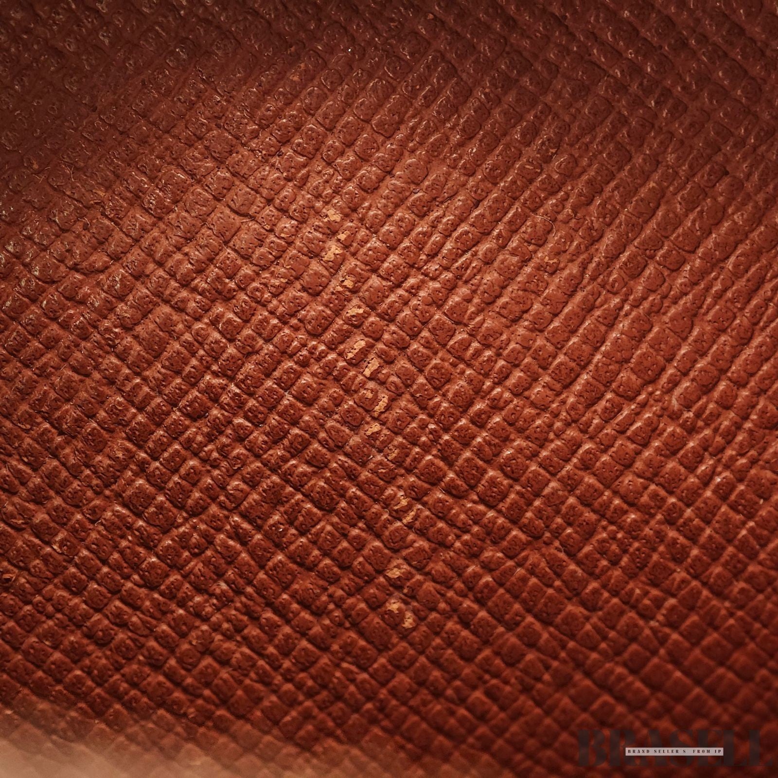 Louis Vuitton Monogram Amazon M45236 Shoulder Bag Travel Small Brown