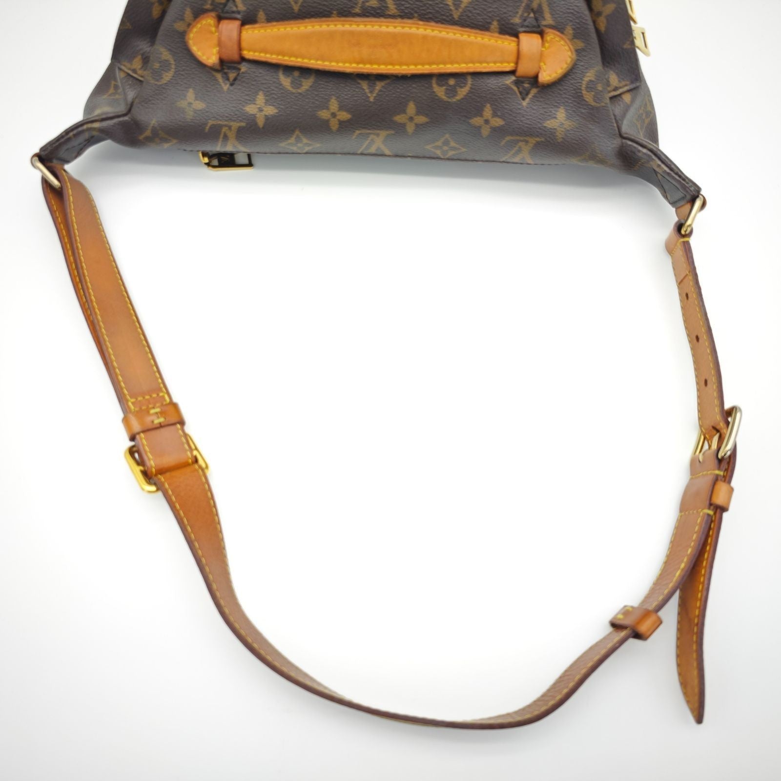 Louis Vuitton Monogram Canvas Body Bag M43644 Brown